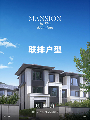 联排户型